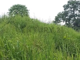 Foto 10 de En venta Finca de Oportunidad de 72 Hectareas en Viche, Rio Verde, Esmeraldas