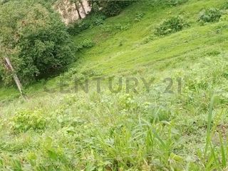 Foto 2 de En venta Finca de Oportunidad de 72 Hectareas en Viche, Rio Verde, Esmeraldas