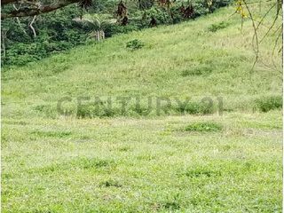 Foto 8 de En venta Finca de Oportunidad de 72 Hectareas en Viche, Rio Verde, Esmeraldas