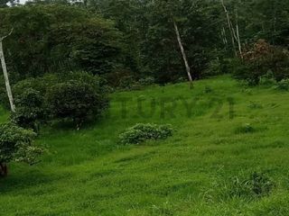 Foto 6 de En venta Finca de Oportunidad de 72 Hectareas en Viche, Rio Verde, Esmeraldas