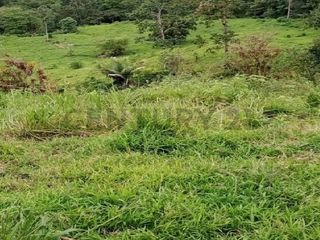 Foto 3 de En venta Finca de Oportunidad de 72 Hectareas en Viche, Rio Verde, Esmeraldas