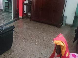 Foto 3 de Casa - Villa Lugano