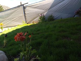 Foto 5 de Casa - Isla Norte