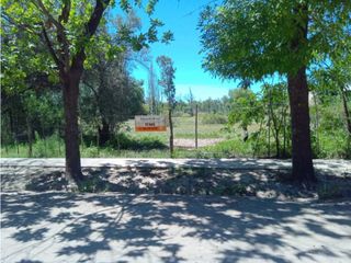Foto 2 de VENTA DE TERRENO 5.907 M2 EN CALLE NUEVA GIL- LA CENTRAL, RIVADAVIA.