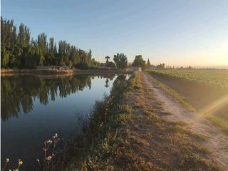 Foto 6 de VENTA DE EXCELENTE FINCA 30 HAS EN LOS BARRIALES JUNIN