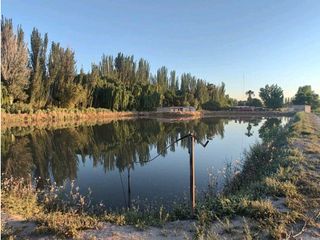 Foto 5 de VENTA DE EXCELENTE FINCA 30 HAS EN LOS BARRIALES JUNIN