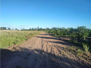 Foto 11 de VENTA DE EXCELENTE FINCA 30 HAS EN LOS BARRIALES JUNIN