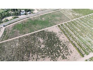 Foto 4 de VENTA DE EXCELENTE FINCA 30 HAS EN LOS BARRIALES JUNIN