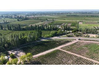 Foto 3 de VENTA DE EXCELENTE FINCA 30 HAS EN LOS BARRIALES JUNIN