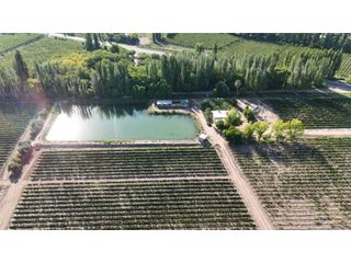 Foto 1 de VENTA DE EXCELENTE FINCA 30 HAS EN LOS BARRIALES JUNIN