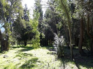 Foto 16 de El Bolsón, Villa Turismo, Preciosa fracción de 6100 mts2 con casa de 40 mts2 Valor usd  140.000