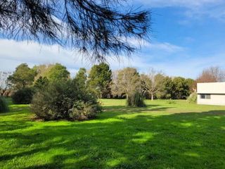 Foto 6 de Quinta en venta - 2 Dormitorios 1 Baño - 10.000Mts2 - Lobos