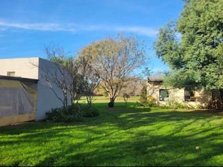 Foto 12 de Quinta en venta - 2 Dormitorios 1 Baño - 10.000Mts2 - Lobos