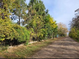 Foto 2 de Quinta en venta - 2 Dormitorios 1 Baño - 10.000Mts2 - Lobos
