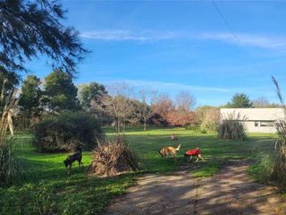 Foto 28 de Quinta en venta - 2 Dormitorios 1 Baño - 10.000Mts2 - Lobos