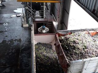Foto 3 de Bodega - Palmira