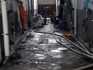 Foto 5 de Bodega - Palmira