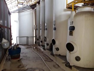 Foto 6 de Bodega - Palmira