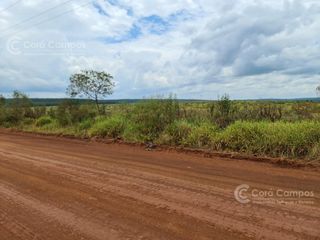 Foto 9 de Se vende Campo Ganadero y Forestal a minutos de Virasoro Corrientes.  Ruta 68