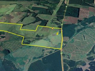 Foto 2 de Se vende Campo Ganadero y Forestal a minutos de Virasoro Corrientes.  Ruta 68