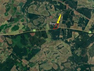 Foto 4 de Se vende Campo Ganadero y Forestal a minutos de Virasoro Corrientes.  Ruta 68