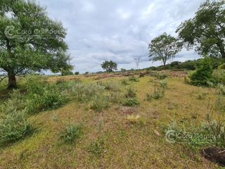 Foto 5 de Se vende Campo Ganadero y Forestal a minutos de Virasoro Corrientes.  Ruta 68