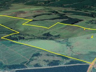 Foto 3 de Se vende Campo Ganadero y Forestal a minutos de Virasoro Corrientes.  Ruta 68