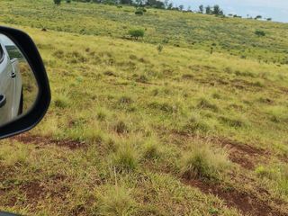Foto 8 de Se vende Campo Ganadero y Forestal a minutos de Virasoro Corrientes.  Ruta 68