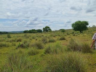 Foto 7 de Se vende Campo Ganadero y Forestal a minutos de Virasoro Corrientes.  Ruta 68