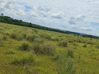 Foto 6 de Se vende Campo Ganadero y Forestal a minutos de Virasoro Corrientes.  Ruta 68