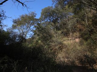 Foto 7 de Campo en Venta en Chivilme Chicoana