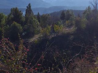 Foto 5 de Chacra - Cerro Amigo