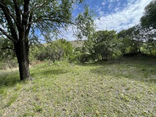 Foto 8 de Terreno - Potrerillo de la Larreta