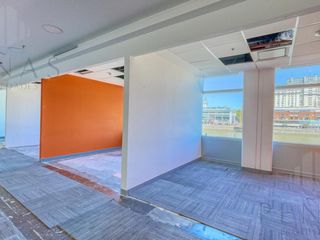 Foto 16 de OFICINA  AAA 440m2 VISTAS AL DIQUE - GRAN CATEGORÍA | 4 COCHERAS