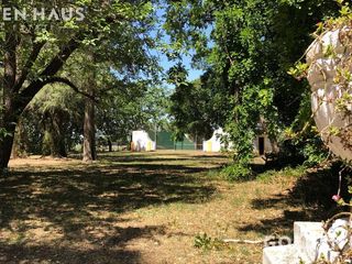 Foto 7 de Chacra - San Andres De Giles