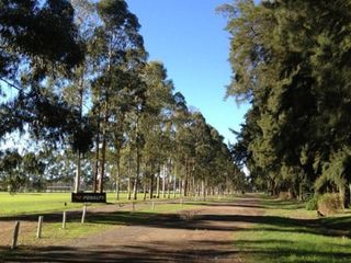 Foto 1 de Terreno en venta - 498Mts2 - Santo Tomás, Pilar del Este