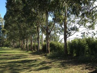Foto 3 de Terreno en venta - 498Mts2 - Santo Tomás, Pilar del Este