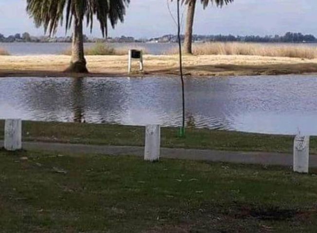 place photo 7