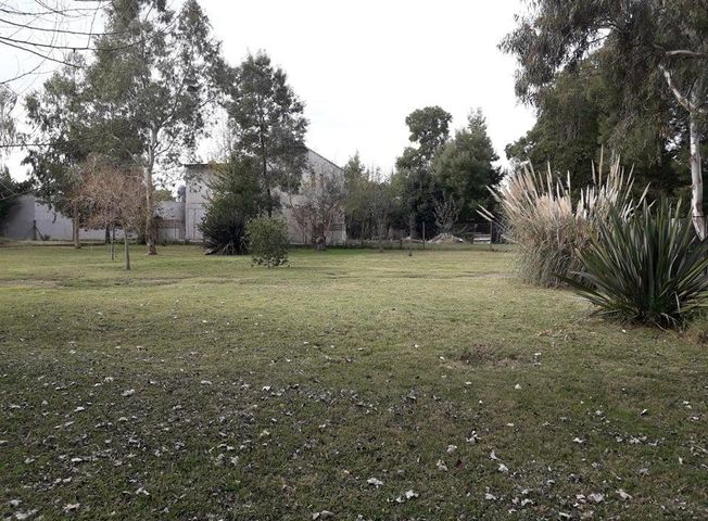 place photo 6