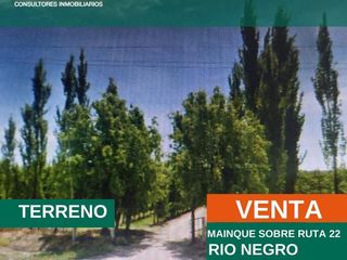 Foto 1 de Chacra - Mainque
