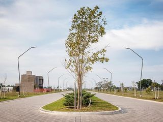 Foto 1 de Terreno en Eco-Tierra (Norte)