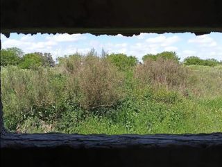 Foto 12 de Campo en  venta en la plata