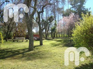 Foto 7 de VENTA TERRENO - Abasto