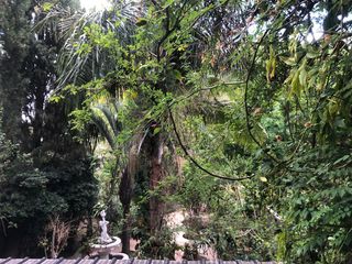 Foto 47 de Casa en venta - Tigre Residencial - ideal para dividir en PH