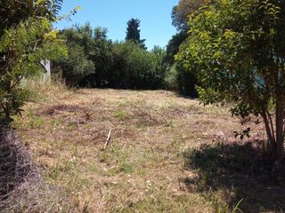 Foto 3 de Terreno - Oliveros