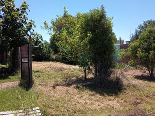 Foto 2 de Terreno - Oliveros
