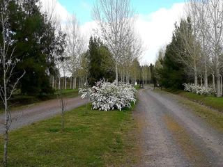 Foto 2 de Terreno en venta - 1.000mts2 - El Retiro, Coronel Brandsen