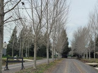 Foto 17 de Terreno en venta - 1.000mts2 - El Retiro, Coronel Brandsen