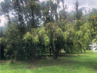 Foto 25 de Casa-Lote Vereda Fonqueta Chia. 6.400 M2