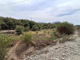 Foto 7 de En Venta Amplio Terreno de 1.73 Ha en  Viru- La Libertad
